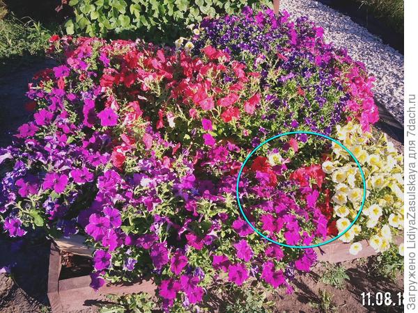 Практически не видно