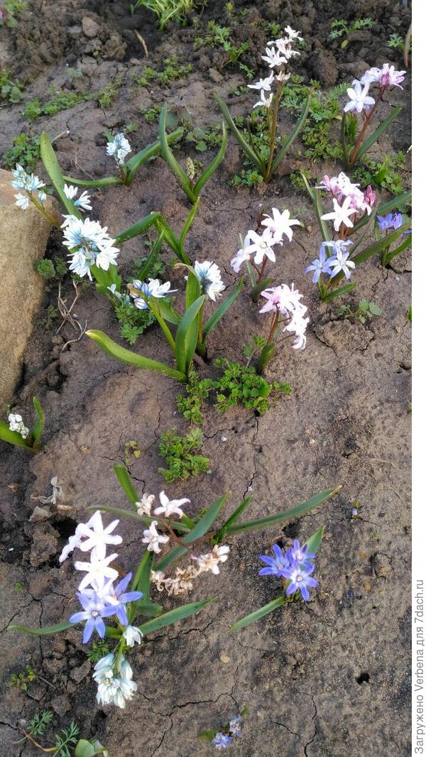 Дружная компания