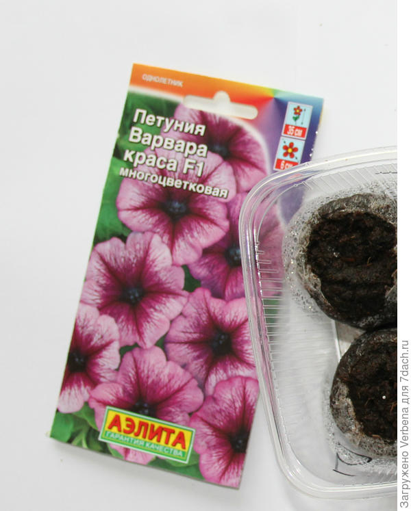 заявленная