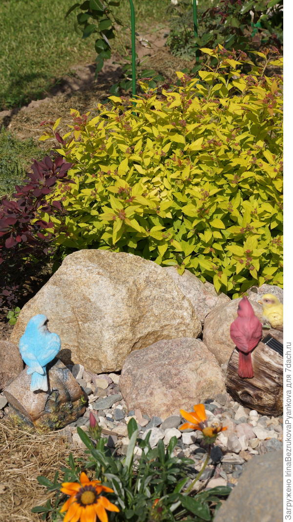 птички сидят на фонариках. Вечером СУПЕР,камушки подсвечивают!