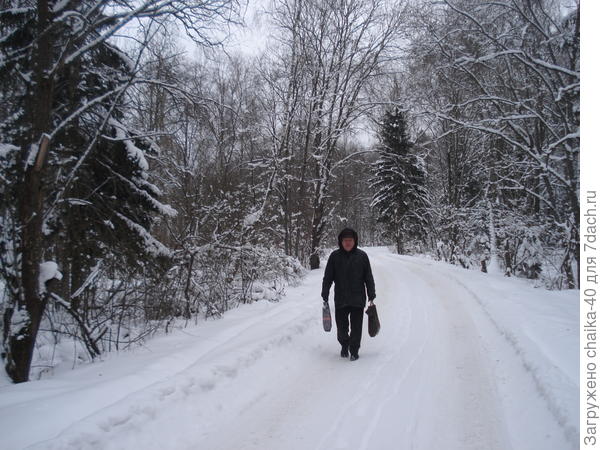 Хорошая прогулка на дачу