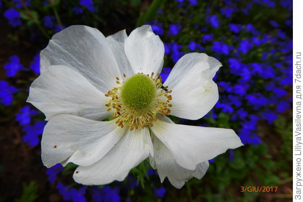 июнь, сааамая последняя