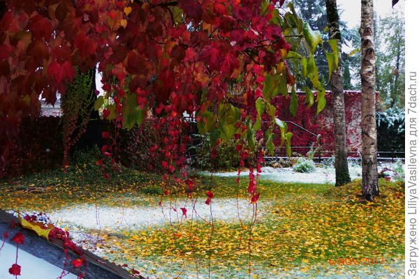 Зима близко ...