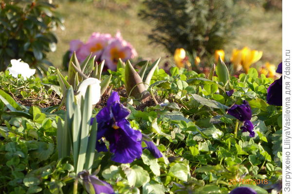 февральское &amp;quot;окно&amp;quot;