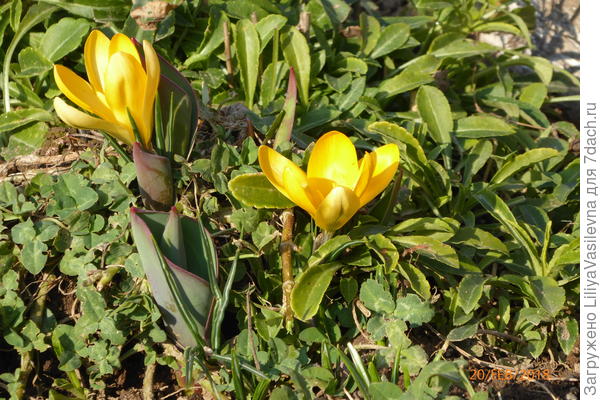 а было так несколько дней над