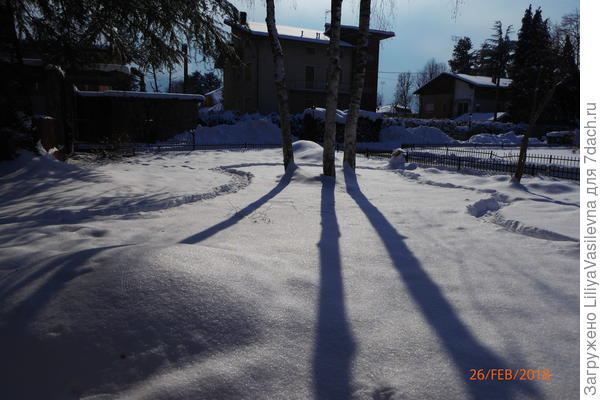 сейчас вот здесь они,под круглым холмиком.