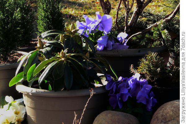 во время оттепели