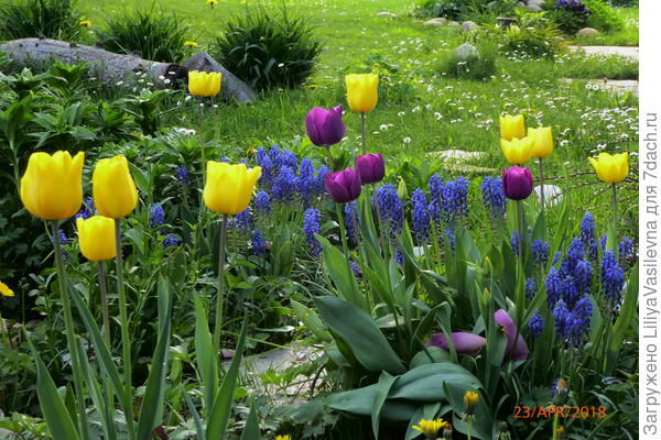 Под магнолией такой вот уголок у меня