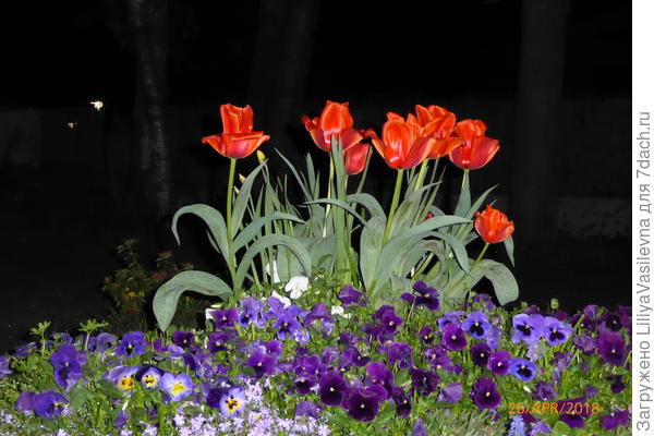 Ночью цвет передаётся лучше