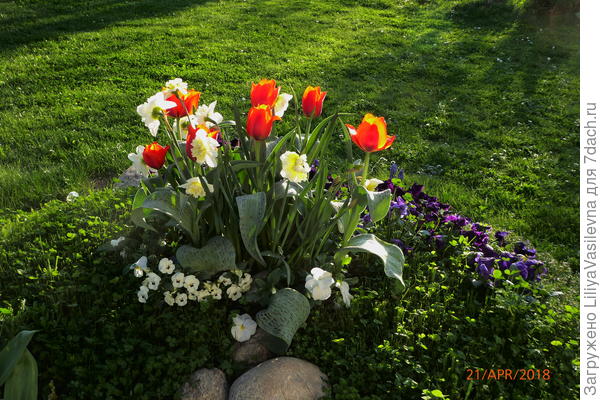 в связи с переездом , оформила эту клумбу крайне просто... на вид, по крайней мере...
