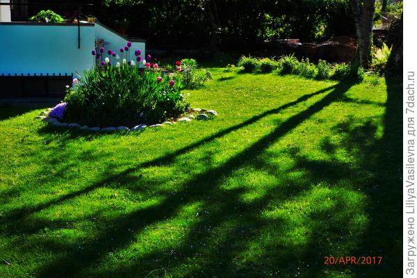 апрель-май-- изумрудная пора