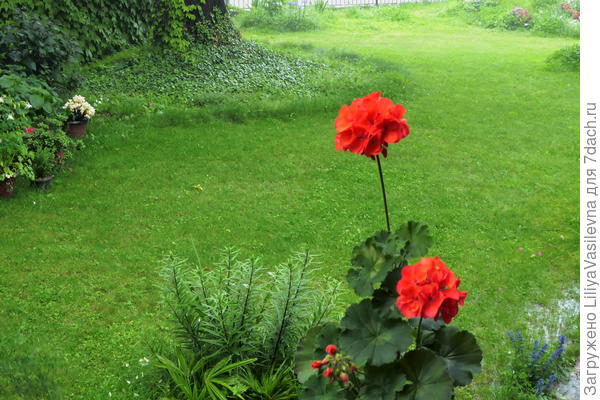 как хорошо, когда идёт дождь!