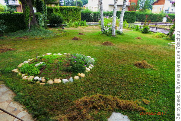 вычесывание войлока после жестокой засухи