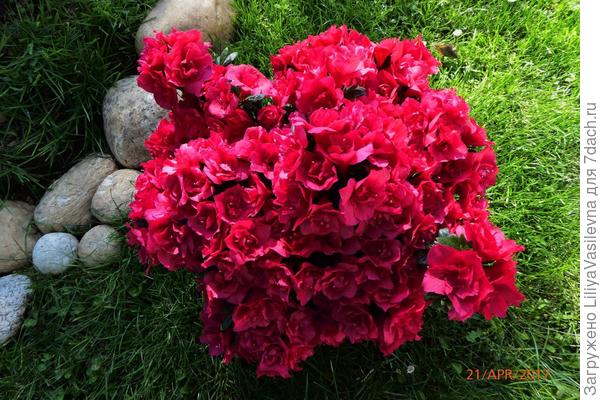 не могла на неё насмотреться, во всех ракурсах снимала