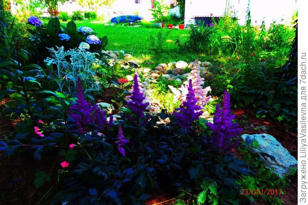 вот, я пробовала в прошлом году выращивать-- но мучения только и для растений и для меня..