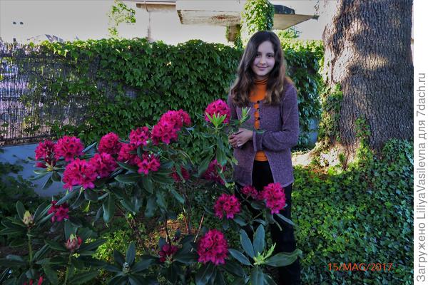 Мой самый первый родик