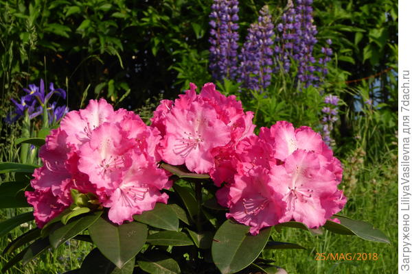 для фотосессий переношу куда душе угодно