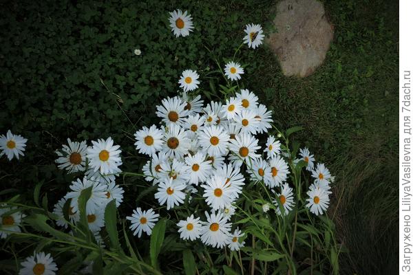 лежат плашмя...