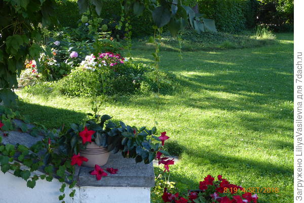 А с сентябрём снова зезеленело