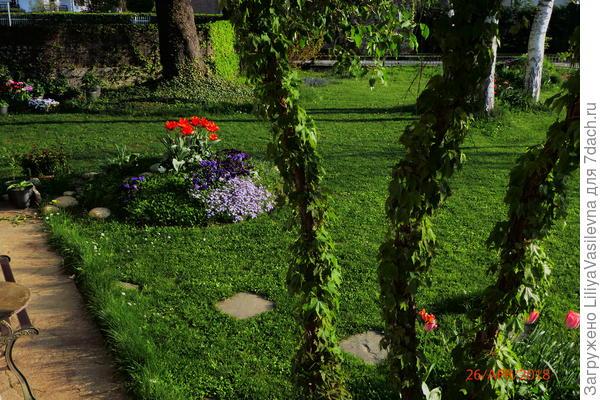 После стрижки