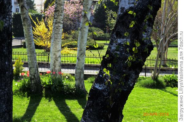 20 апреля , невероятные  +29 в тени. Всего несколько дней назад были заморозки.