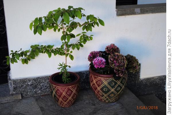 до середины июЛя было всё в порядке.