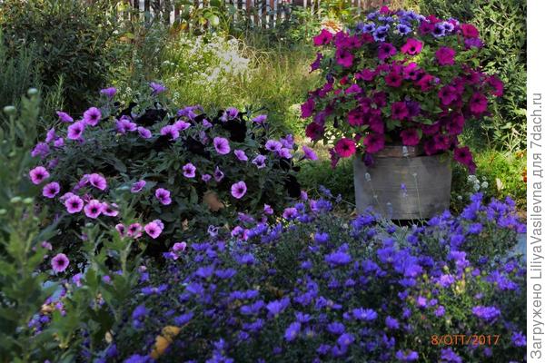 Тёплый октябрь .Сентябринки стали октябринками. Но ночью очень даже холодно--горы.