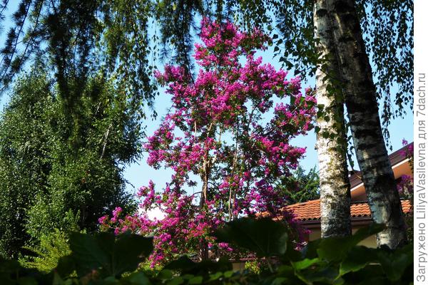 Такой вот ракурс.