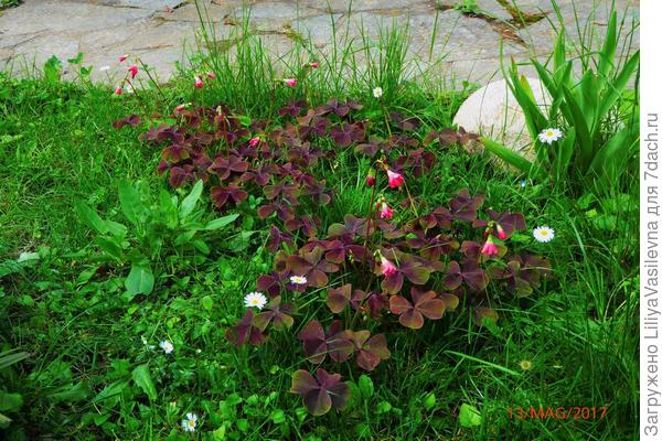 спасает на проблемных местах