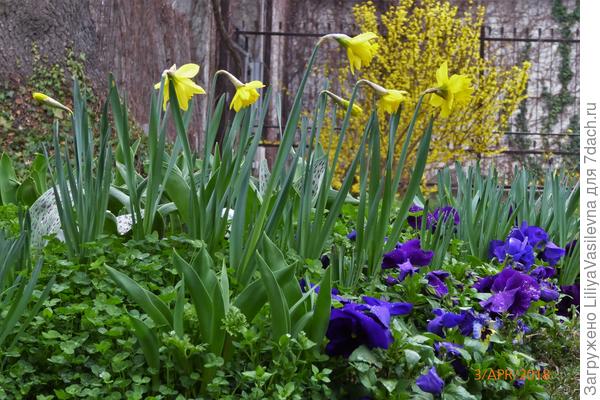 Начало апреля