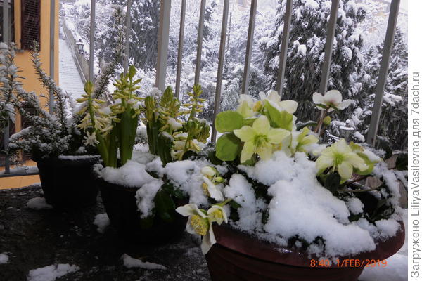 1-го ноября был снегопад