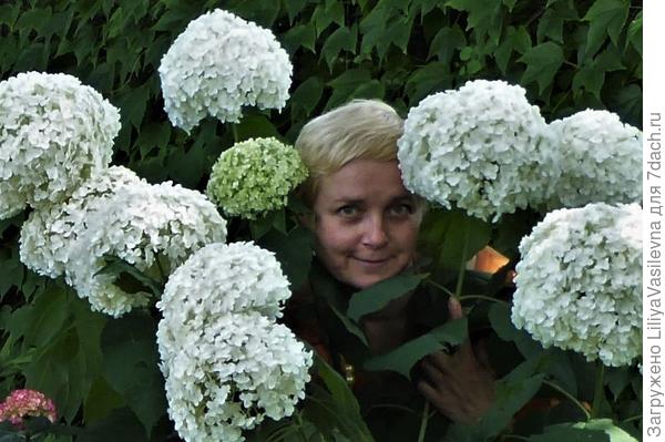 Я и Анабель. , в контейнере.