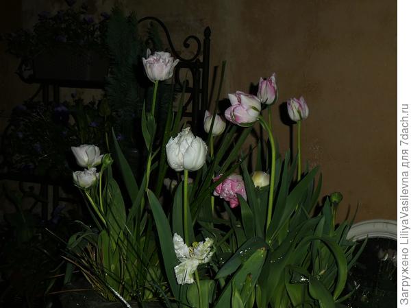 ночь, дождик .