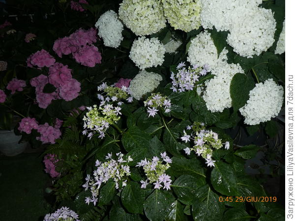 в тесноте , но не в обиде .