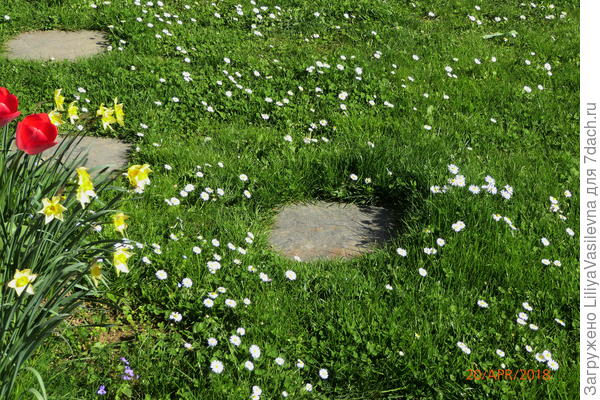 Всегда фотографировала перед стрижкой.,