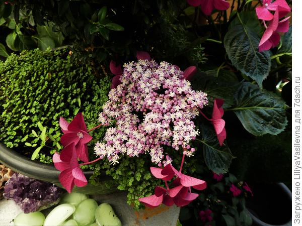 Конец июня 2019. ,