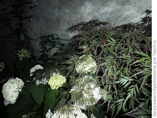 Конец июня 2019. ,