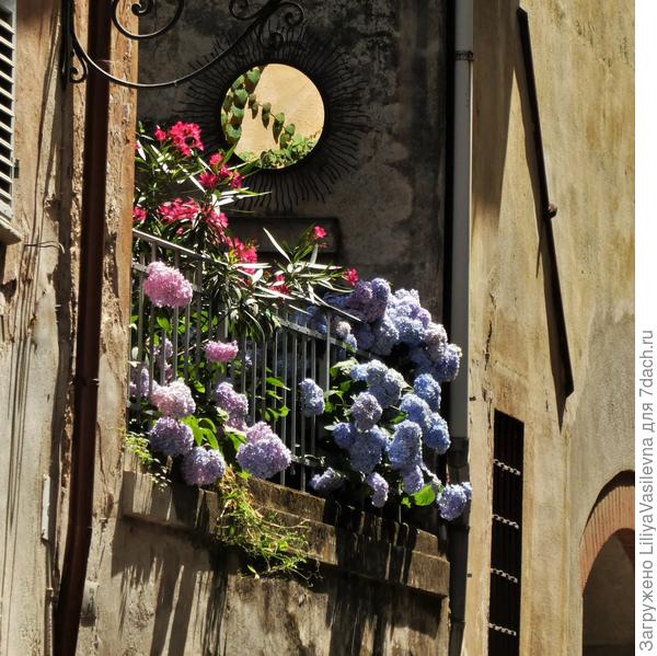 Конец июня 2019. ,