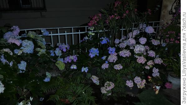 Конец июня 2019. ,