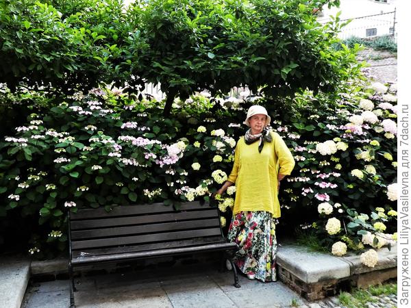 А вот , у нас в городе-- древовидной заросли