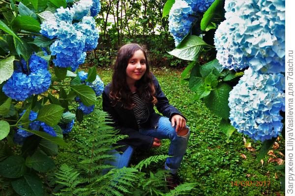 Вот это чудо, здесь моя дочка ПОД кустами -а, надеюсь найду другие фото с ней,на далеко за 2 метра была бы ,если бы её не резали сильно . .