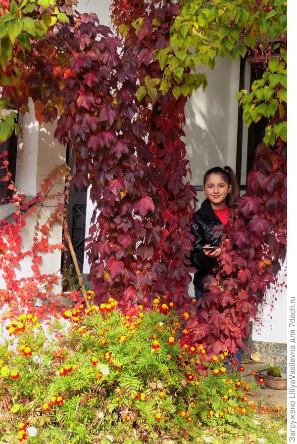 Это я по стаааарой сирени оголённой , как пальма, его пустила .