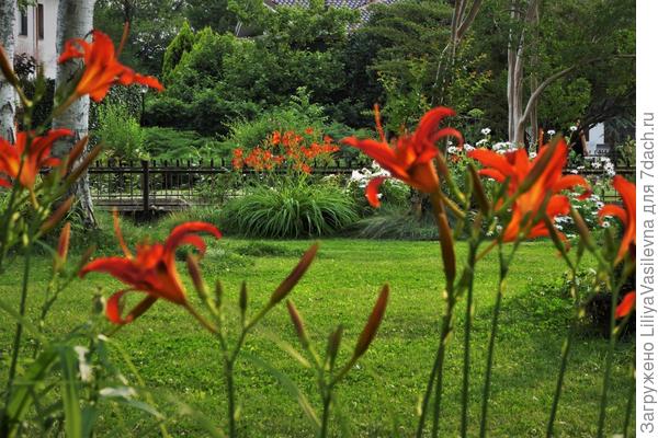 В последних лучах заката зажглись . 2018. Бывшие мои...