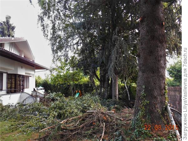 А дров было мнооого-- почти 2 месяца я их, сама, перерабатывала