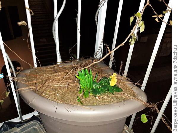 конечный результат