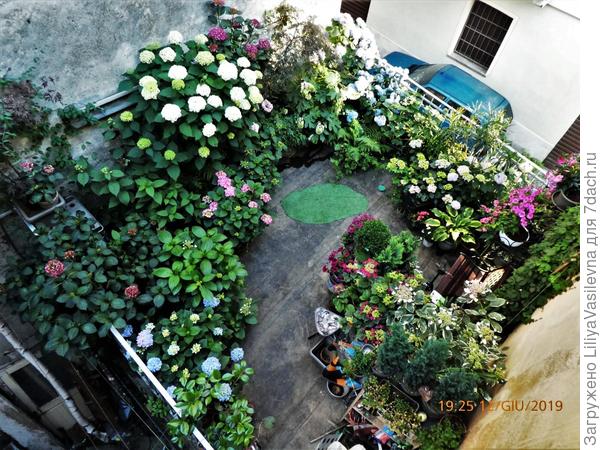 Мои контейнеры  июнь19г.. половина их.