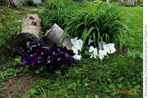 Апрель 2017 г.