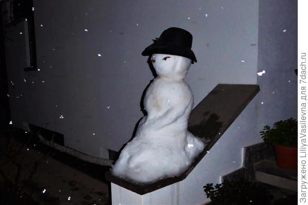 Леди снеговик