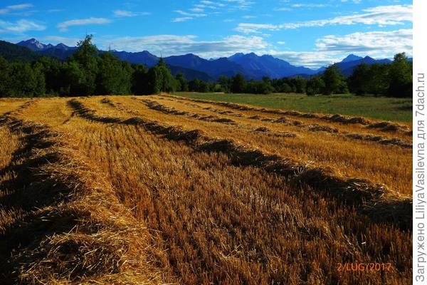 Вид на Альпы с пригородной зоны , в пойме реки .