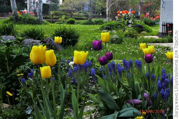 конец апреля 2018 г.